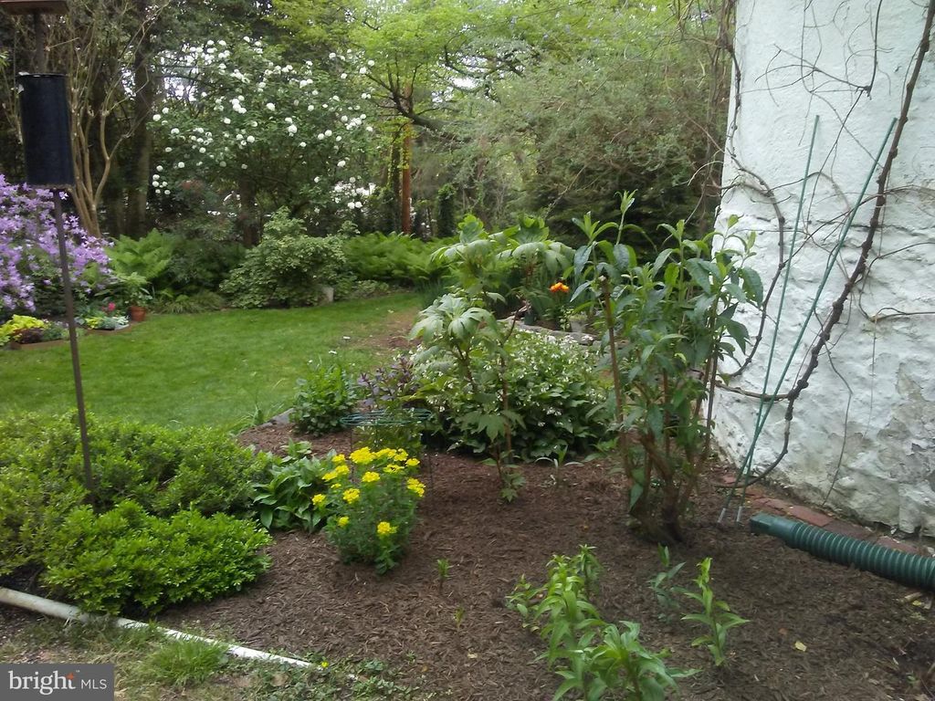 4 SWARTHMORE PL, SWARTHMORE, PA 19081 — photo 3