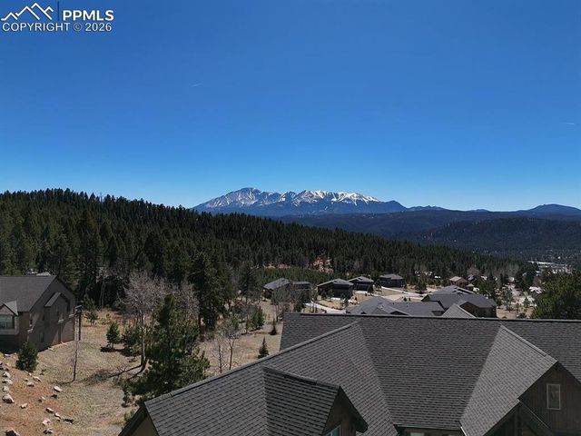 1010 Locklin Way, Woodland Park, CO 80863