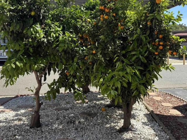 200 N El Camino Real 79, Oceanside, CA 92058