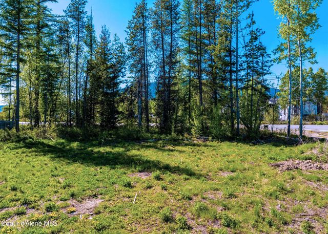 55 Carnelian Ave, Ponderay, ID 83852