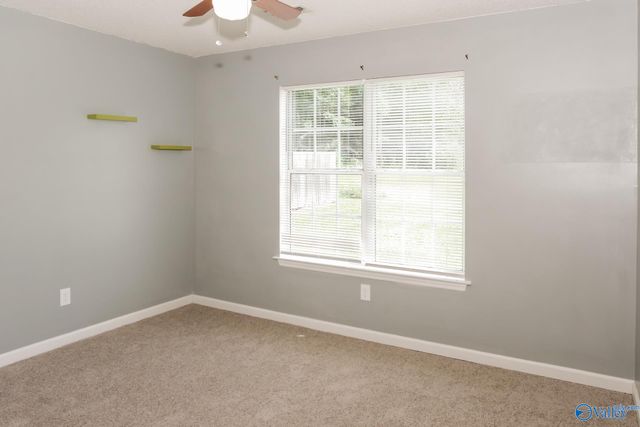 338 Buffalo Creek Drive, Toney, AL 35773