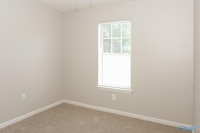 338 Buffalo Creek Drive, Toney, AL 35773