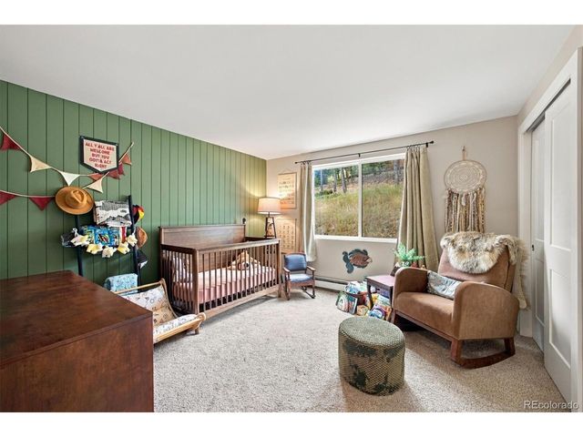 12025 Red Cloud Way, Conifer, CO 80433
