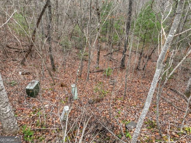 LOT 5 Staurolite Mountain, Blue Ridge, GA 30513
