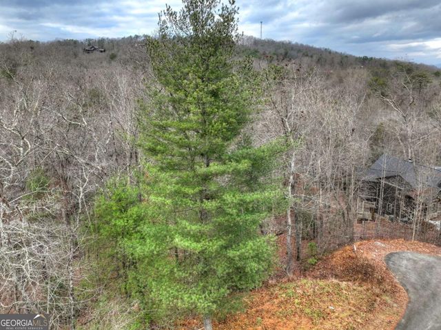LOT 5 Staurolite Mountain, Blue Ridge, GA 30513