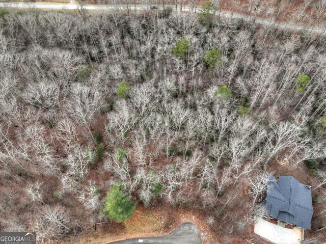 LOT 5 Staurolite Mountain, Blue Ridge, GA 30513