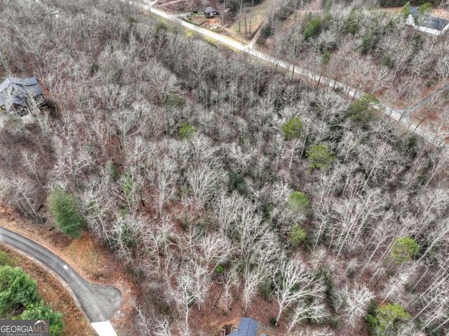 LOT 5 Staurolite Mountain, Blue Ridge, GA 30513