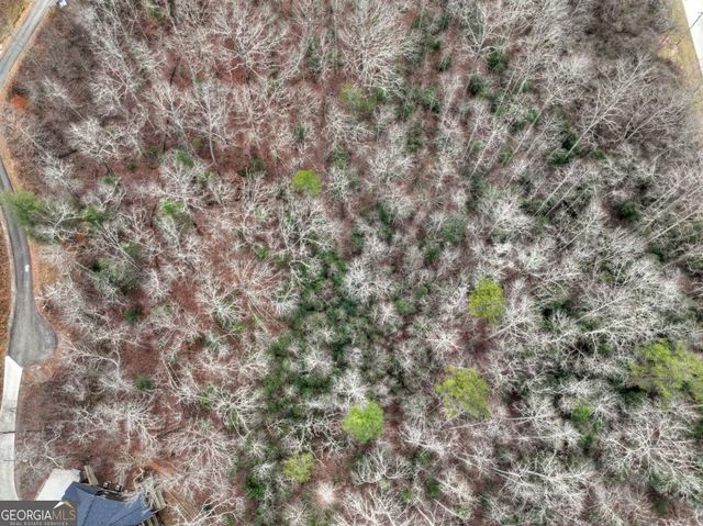 LOT 5 Staurolite Mountain, Blue Ridge, GA 30513