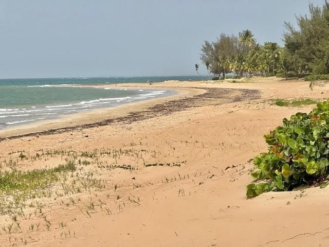 CARR 968 KM 1.8 LAS PICUAS MAMEYES F-3, Rio Grande, PR 00745