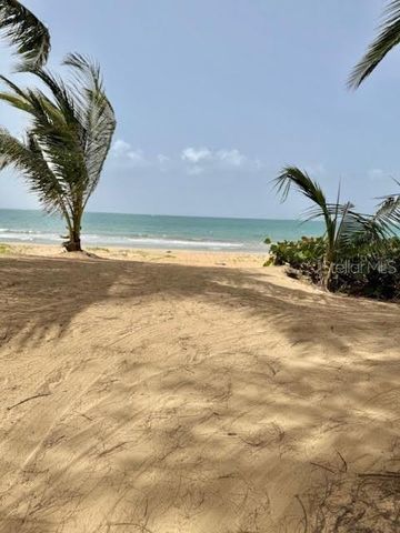 CARR 968 KM 1.8 LAS PICUAS MAMEYES F-3, Rio Grande, PR 00745