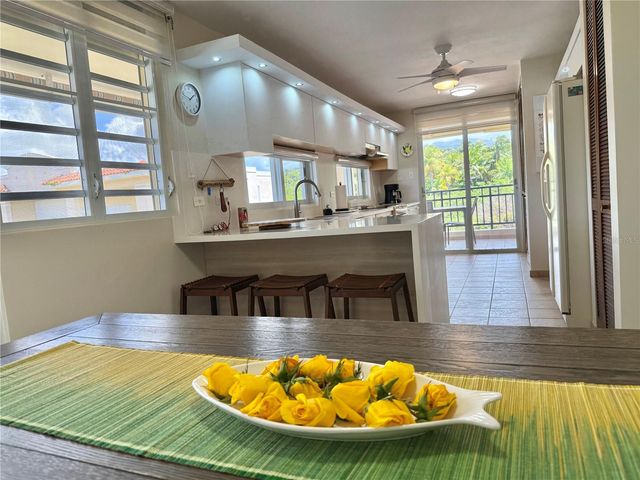 CARR 968 KM 1.8 LAS PICUAS MAMEYES F-3, Rio Grande, PR 00745