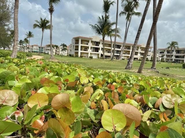 CARR 968 KM 1.8 LAS PICUAS MAMEYES F-3, Rio Grande, PR 00745