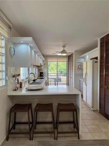 CARR 968 KM 1.8 LAS PICUAS MAMEYES F-3, Rio Grande, PR 00745