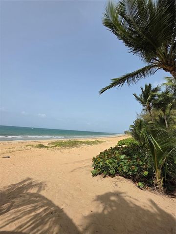 CARR 968 KM 1.8 LAS PICUAS MAMEYES F-3, Rio Grande, PR 00745