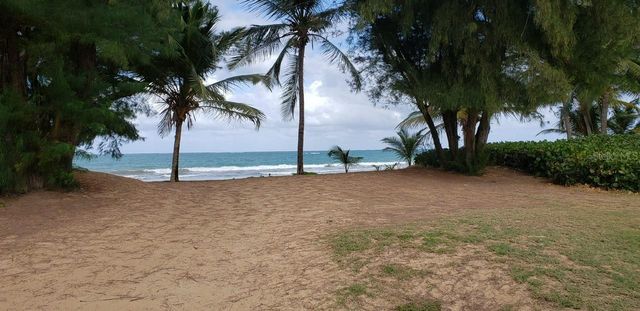 CARR 968 KM 1.8 LAS PICUAS MAMEYES F-3, Rio Grande, PR 00745