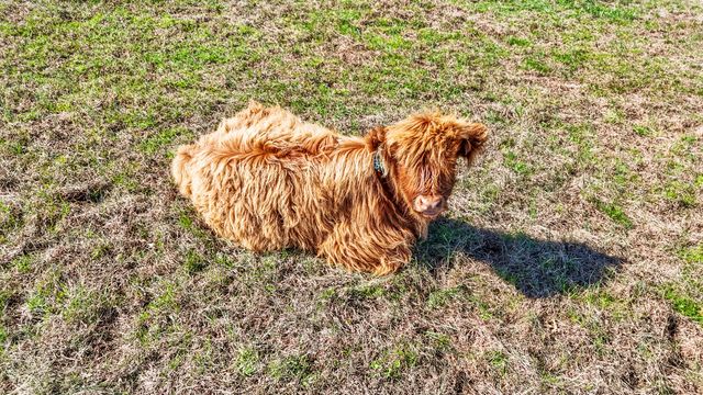 8353 Wades Mill Road, Mt Sterling, KY 40353