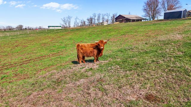8353 Wades Mill Road, Mt Sterling, KY 40353