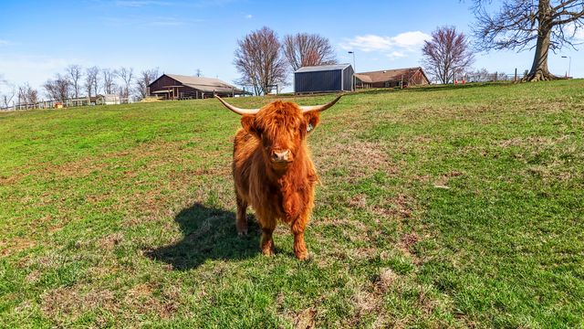 8353 Wades Mill Road, Mt Sterling, KY 40353