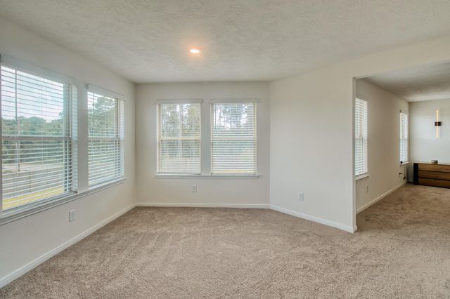 3539 Sage Green Trail, Conroe, TX 77304
