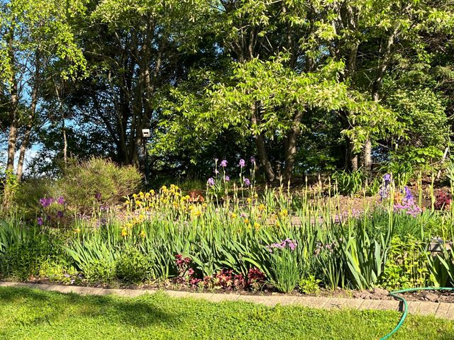 8218 Lori Lane, Woodbury, MN 55125