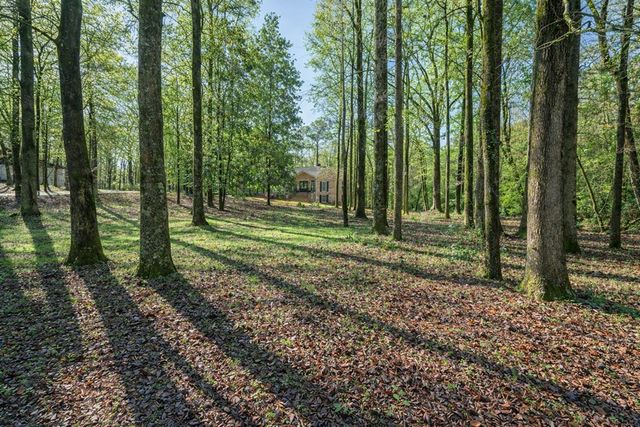 9610 County Line Road, Midland, GA 31820