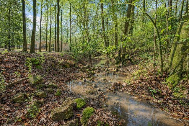 9610 County Line Road, Midland, GA 31820