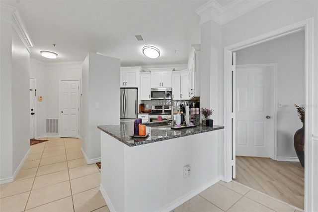 4306 BAYSIDE VILLAGE DRIVE 301, Tampa, FL 33615