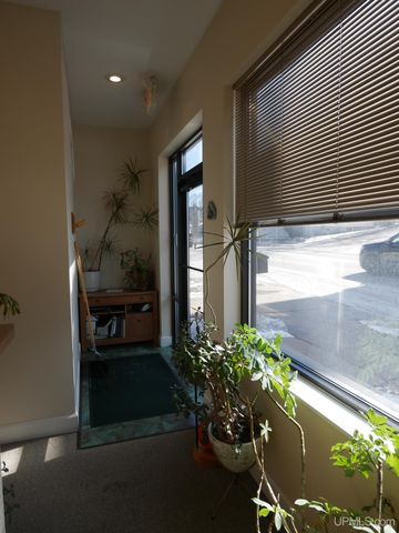 208 E Montezuma Avenue, Houghton, MI 49931