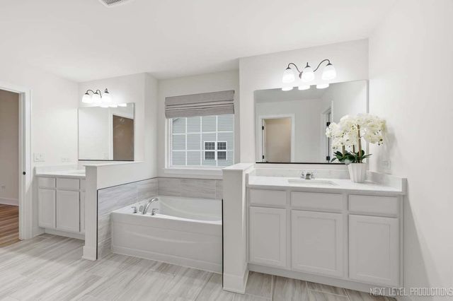 12513 S Willowgate Lane, Plainfield, IL 60585