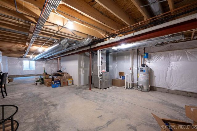 12513 S Willowgate Lane, Plainfield, IL 60585