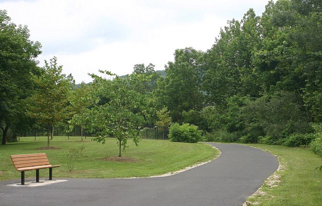 821 N BAYARD AVE, Waynesboro, VA 22980