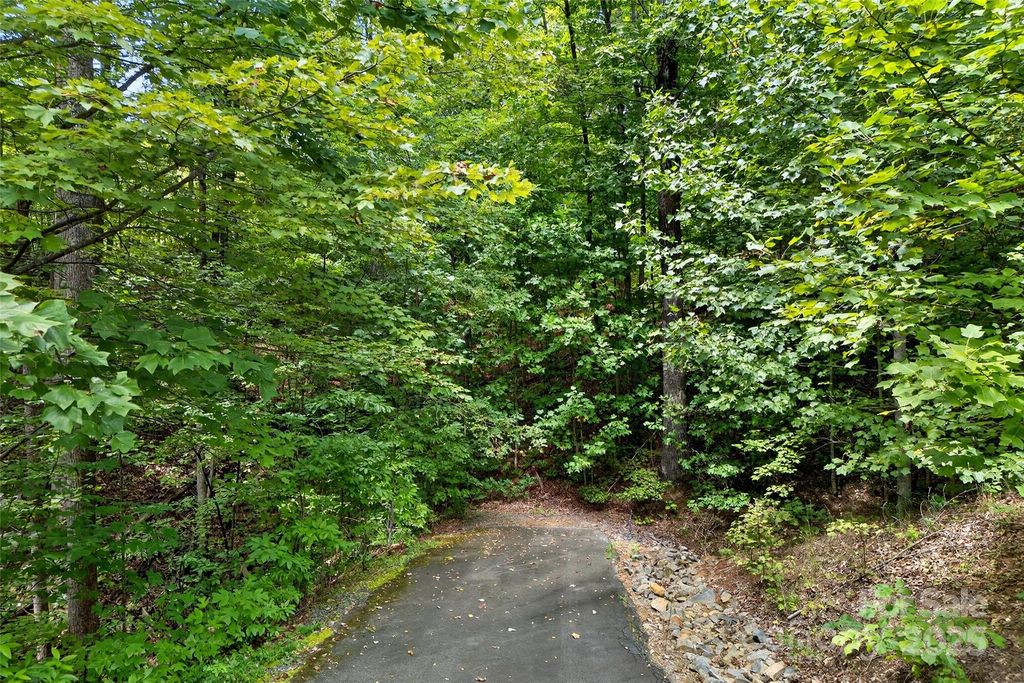 100 Comet Falls Trail 235, Black Mountain, NC 28711