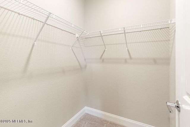 31 TILDEN Court, St. Augustine, FL 32092