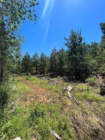 Lot 584 Otani CT, Bastrop, TX 78602