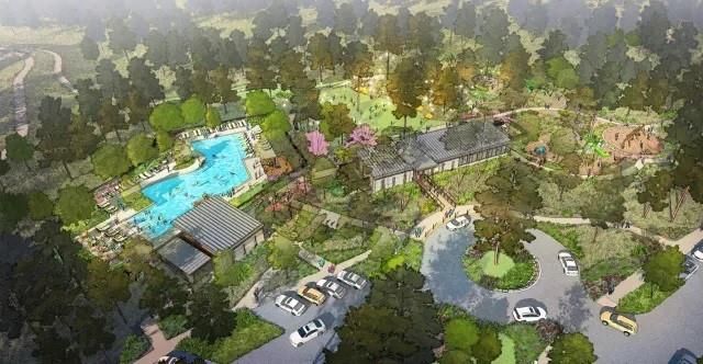 26726 Texas Lantana Lane, Montgomery, TX 77316