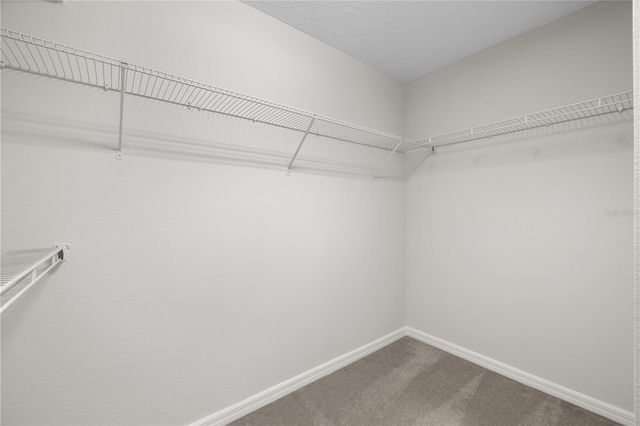 8019 GLENLLOYD AVENUE, Winter Garden, FL 34787