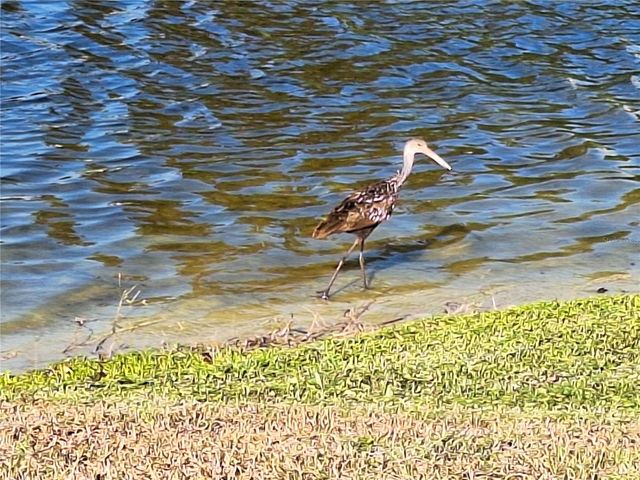 10218 BARNETT LOOP, Port Richey, FL 34668