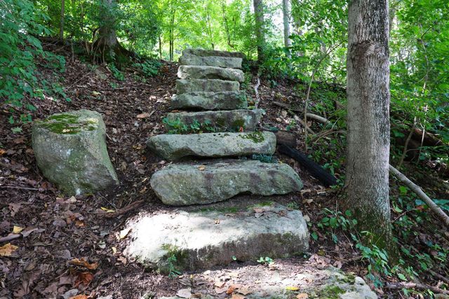 4766 Donegal Cliffs Drive, Dublin, OH 43017