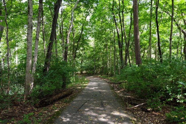 4766 Donegal Cliffs Drive, Dublin, OH 43017