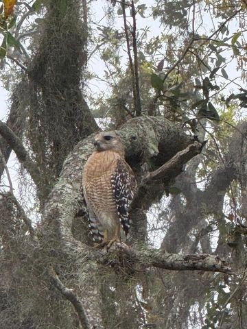 8083 WATERBEND TRAIL, Sarasota, FL 34240