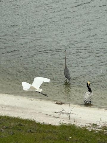 8083 WATERBEND TRAIL, Sarasota, FL 34240