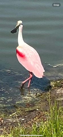 8083 WATERBEND TRAIL, Sarasota, FL 34240