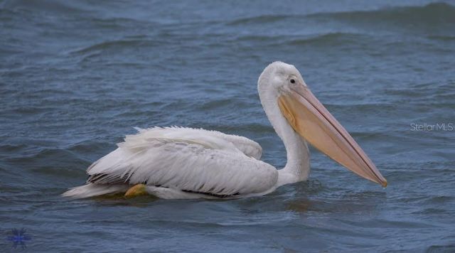 8083 WATERBEND TRAIL, Sarasota, FL 34240