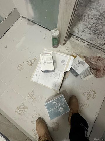 4017 Pingree Street, Detroit, MI 48204