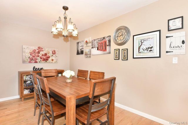 2 Birchwood Court 1C, Mineola, NY 11501