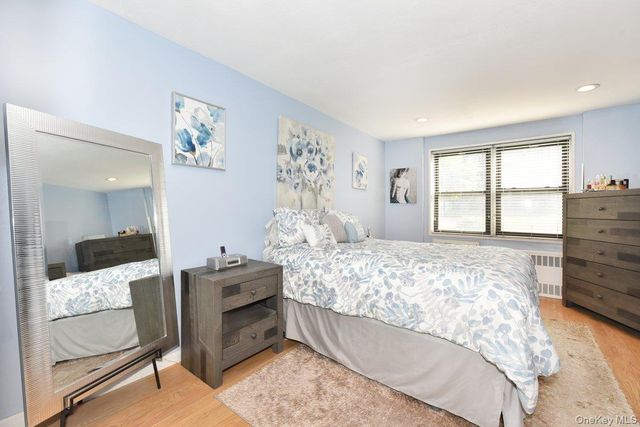 2 Birchwood Court 1C, Mineola, NY 11501