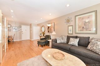 2 Birchwood Court 1C, Mineola, NY 11501
