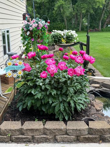 16360 Zuni Street NW, Andover, MN 55304