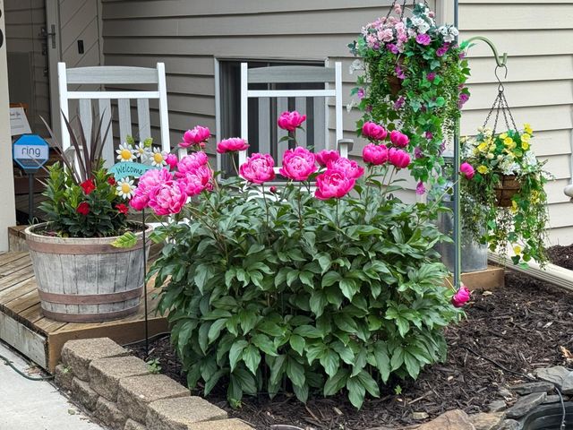 16360 Zuni Street NW, Andover, MN 55304