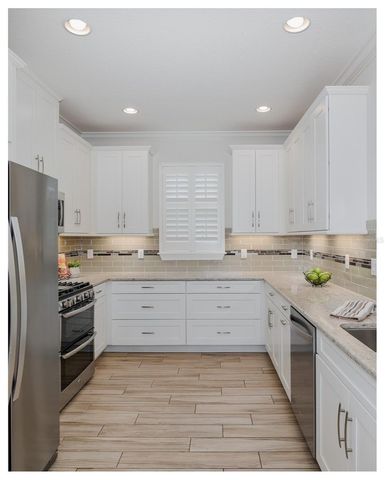 11599 CALLISIA DRIVE, Odessa, FL 33556